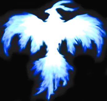 Blue Phoenix Pictures, Images and Photos