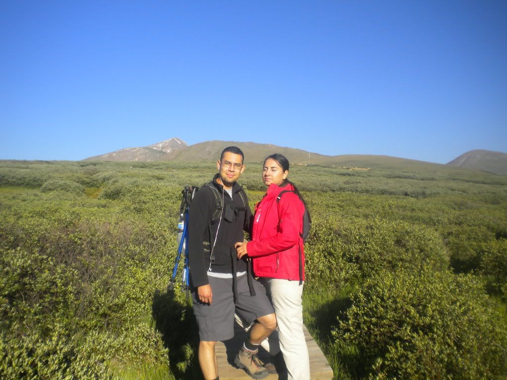 1st14er481.jpg