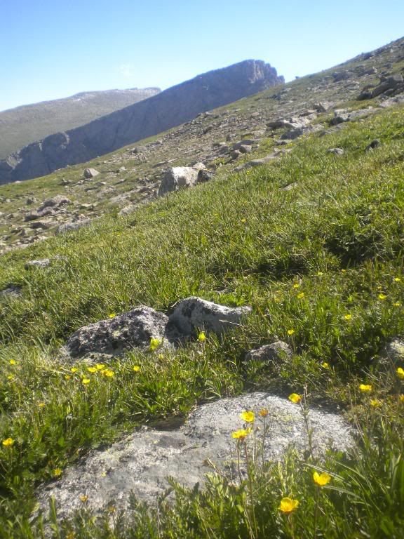 1st14er519.jpg