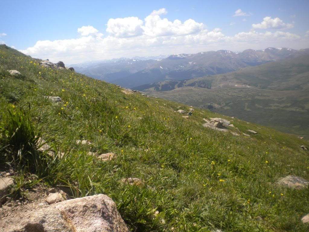 1st14er645.jpg
