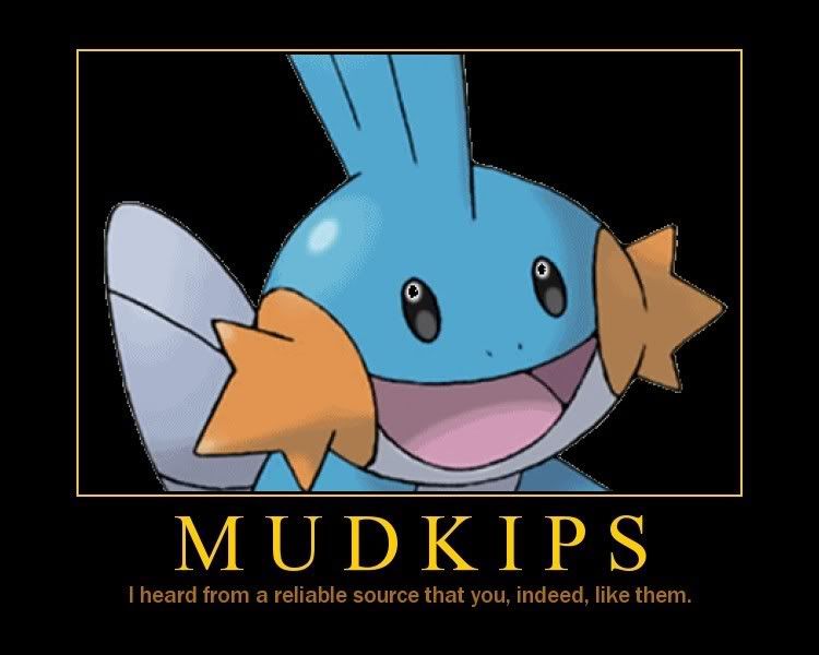 mudkip.jpg