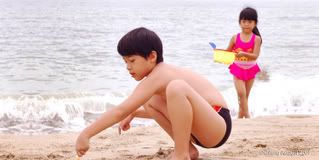 Photo Sharing and Video Hosting at Photobucket