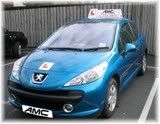 Peugeot 207 Training Vehicle
