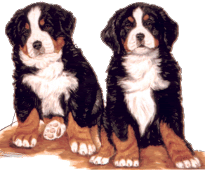 19.gif picture by corien67_album