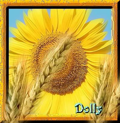 Imagen2dolly.jpg picture by dollys60