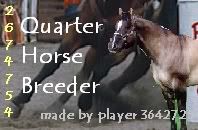 Quarter horse Breeder Pictures, Images and Photos