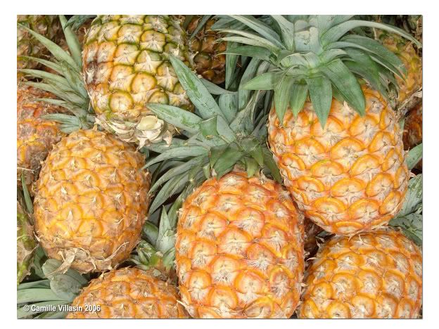 06_pineapple.jpg