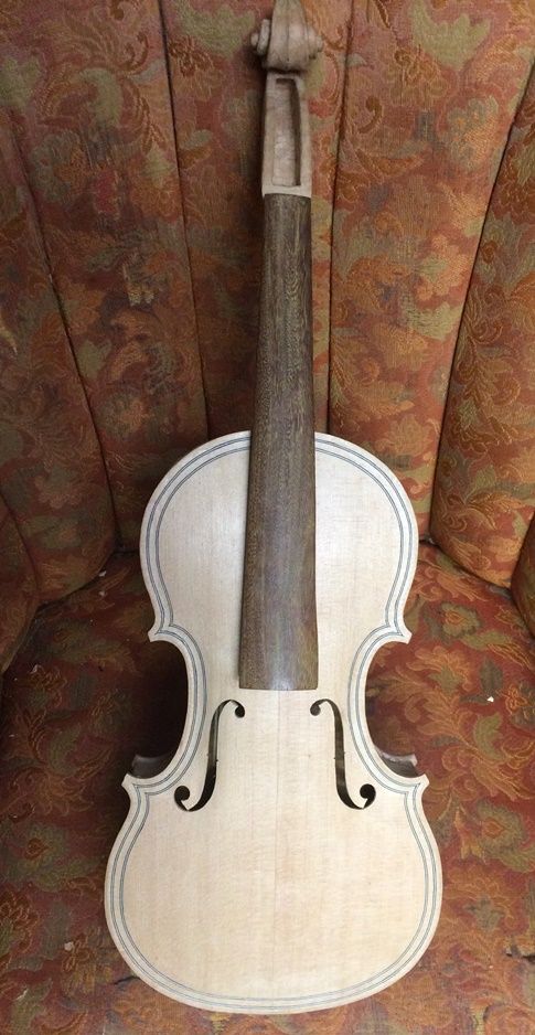 Closed Five-string fiddle Corpus, Front view