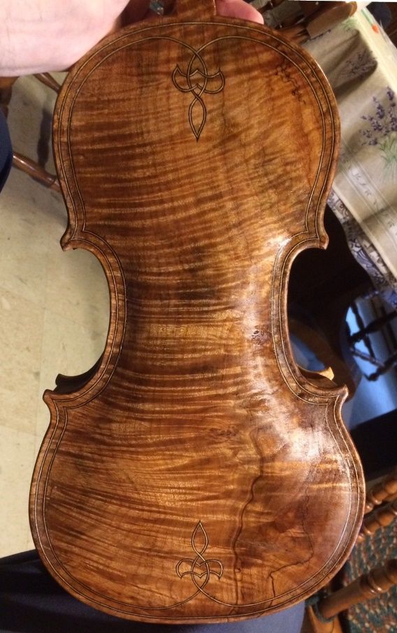 Five-String Fiddle back plate with four coats of varnish
