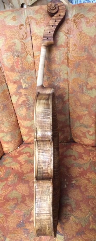 Five-String Fiddle Side view with sealer