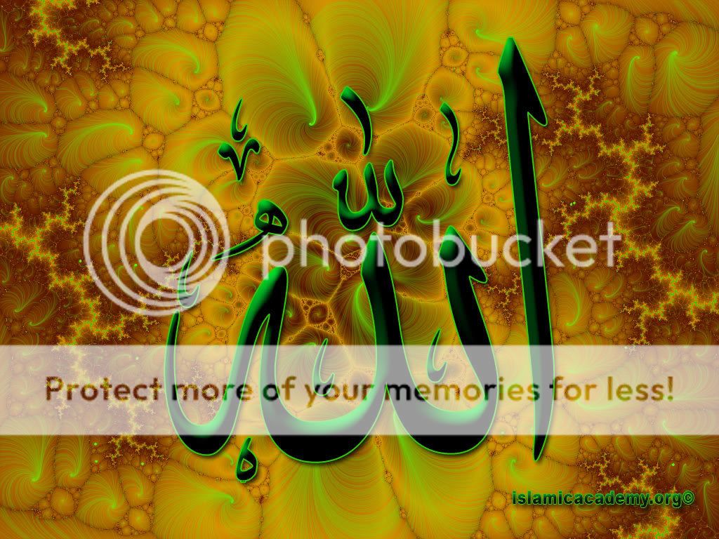 http://i204.photobucket.com/albums/bb123/Aquariousrose/Academy_00125.jpg