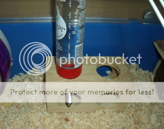 Water Bottle Advice (Bin Cage) Hamster Central