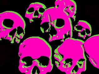 skulls photo: skulls Skulls1.jpg