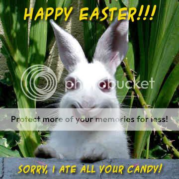 easter bunny Pictures, Images and Photos