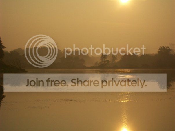 rushlake2.jpg