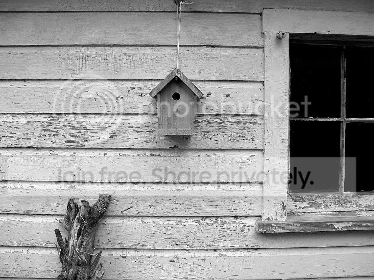 birdhousebwsm.jpg