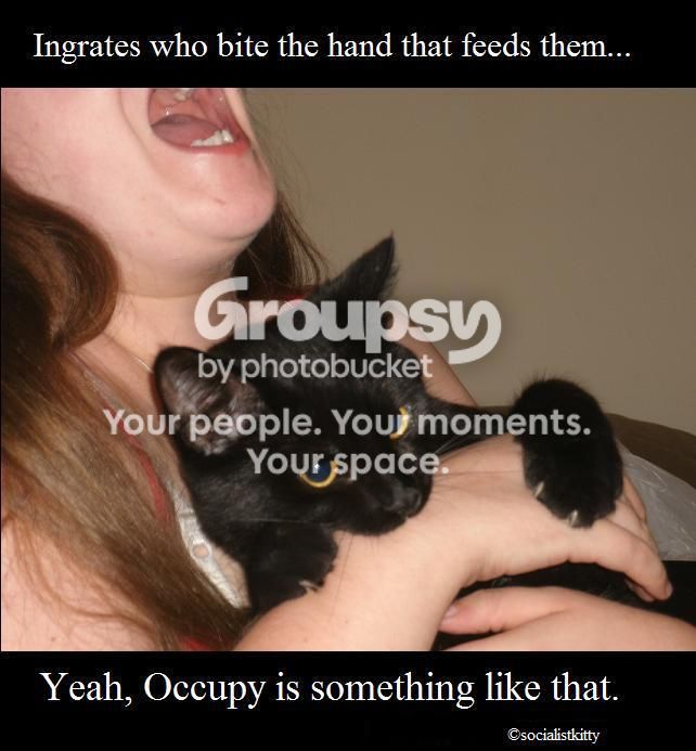 OccupyShredder.jpg